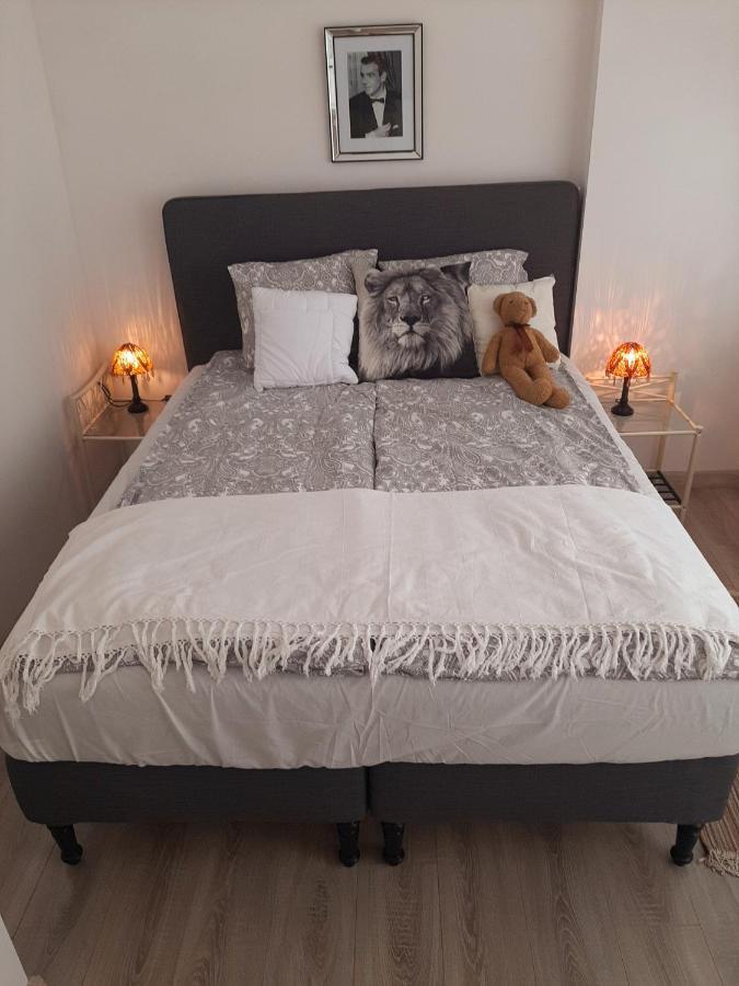 Hollywood Apartament Kosciuszki 우치 외부 사진