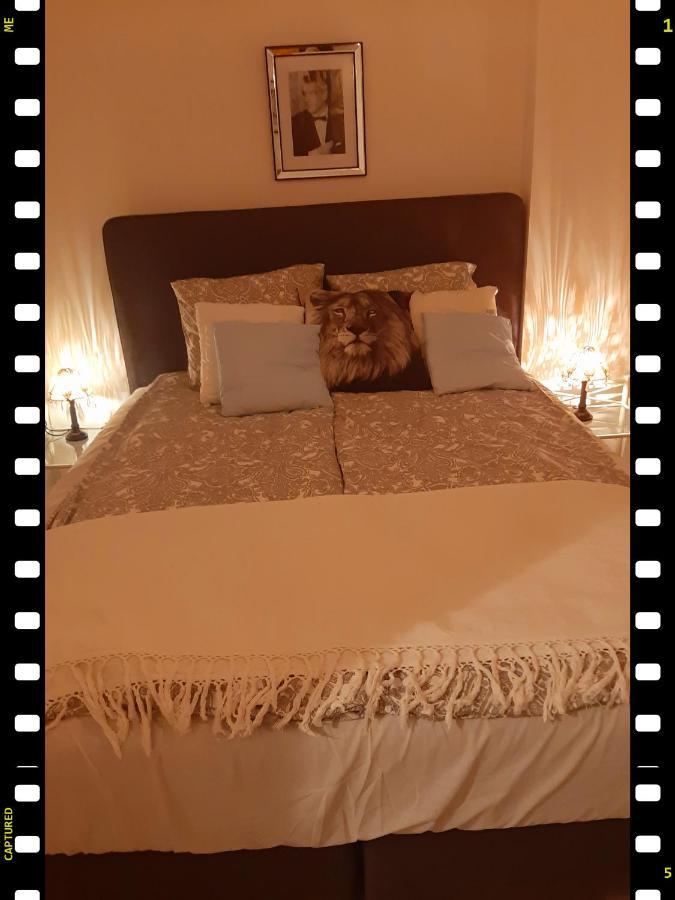 Hollywood Apartament Kosciuszki 우치 외부 사진
